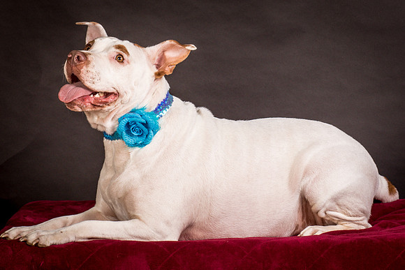 Foster Joanie-0488