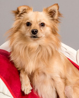 Foster Kree-4895