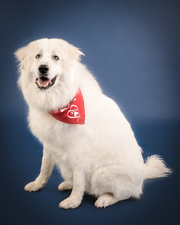 Foster Thor-3913