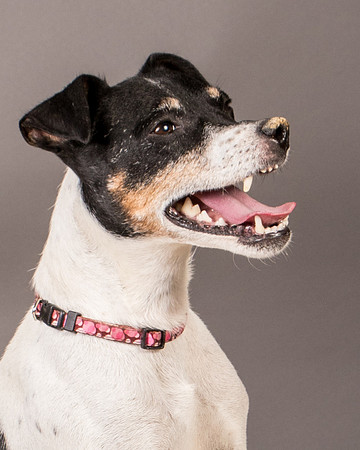 Foster Pollyanna-3902