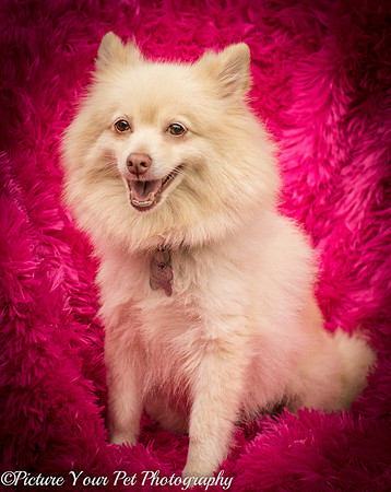 Foster Laverne-6315