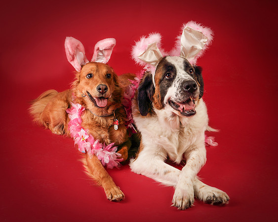 Ollie and Heidi-8339