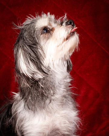 Foster Alex-6314