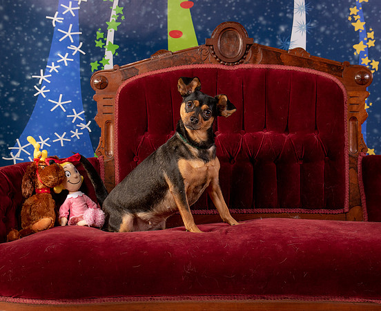 Foster Jolie-6470