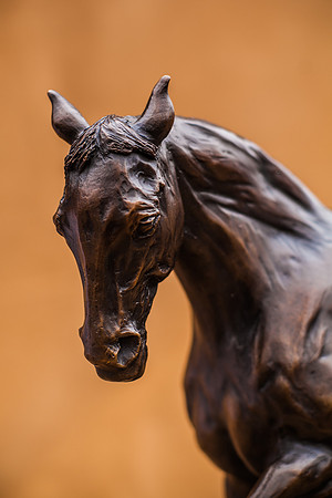 KTM-Horse Sculpture-0739