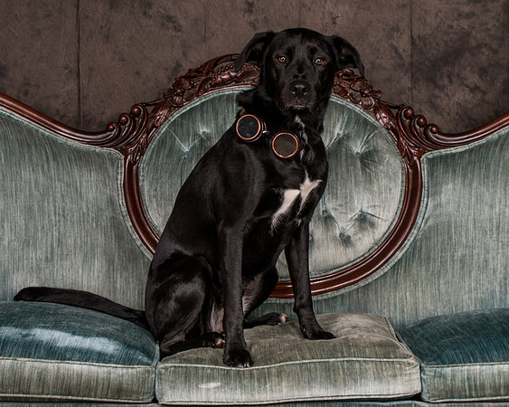 Butler-2843