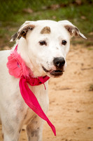 Carley-1109