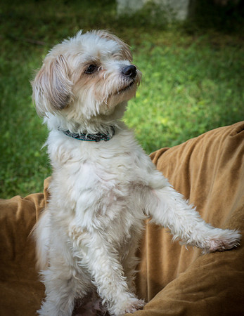 Foster Ricardo-8729