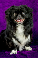 Foster Prince-0747