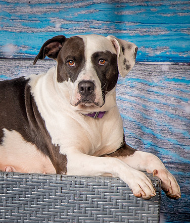Foster Lucette-3243
