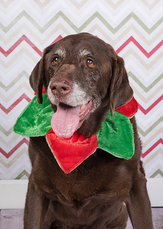 2015Nov21_3799