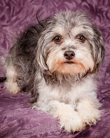Foster Alex-6272