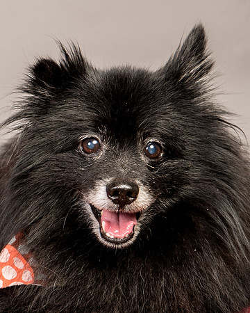 Foster Wayne-7931