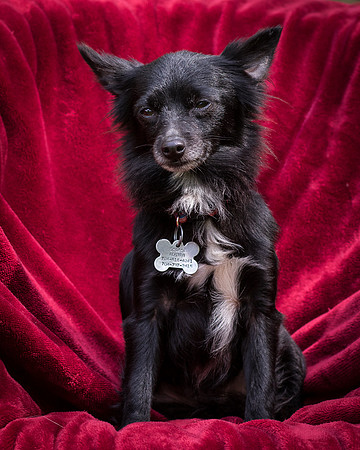 Foster Julio-8520