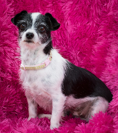 Foster Olive-7607