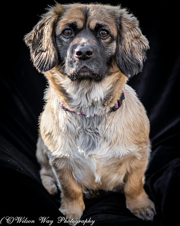 Foster Trudy-25