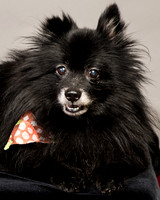 Foster Wayne-7731
