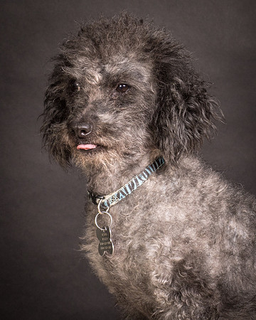 Foster Mokey-1737