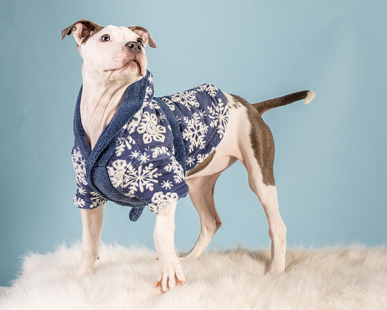 Foster Luna-4775