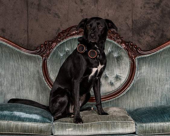 Butler-2842
