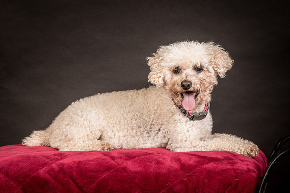 Foster Mae-9017