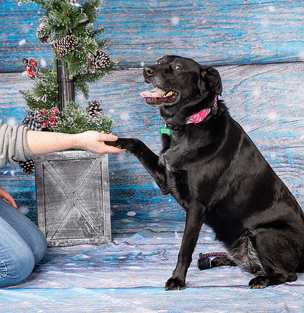 Foster Beatrice-4044