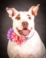 Foster Joanie-0409