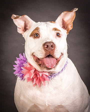 Foster Joanie-0409