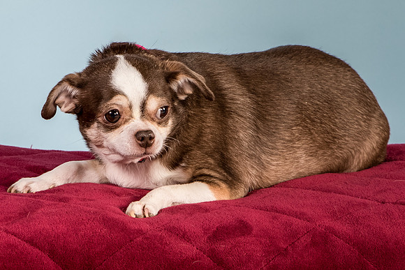 Foster Sophie-5214