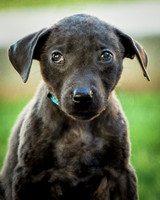 Foster Rigley-0066