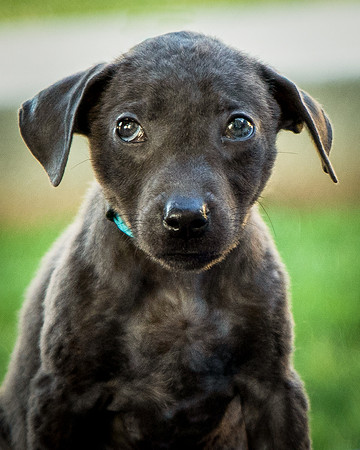 Foster Rigley-0066