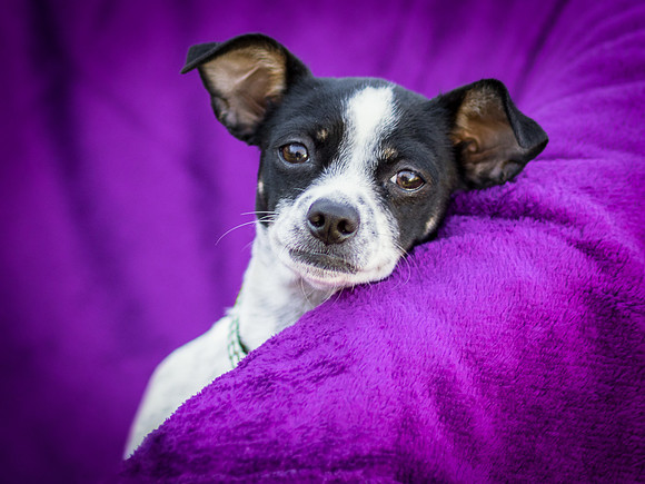 Foster Haylie-4046