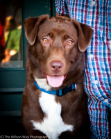 Coco aka Charlie-8791