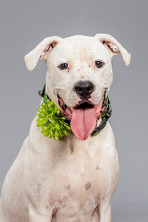 Foster Molly-3692