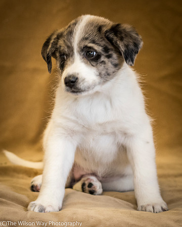 Foster Mira Jane-0349
