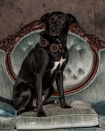 Butler-2841