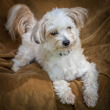 Foster Ricardo-8777