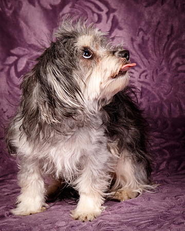 Foster Alex-6248