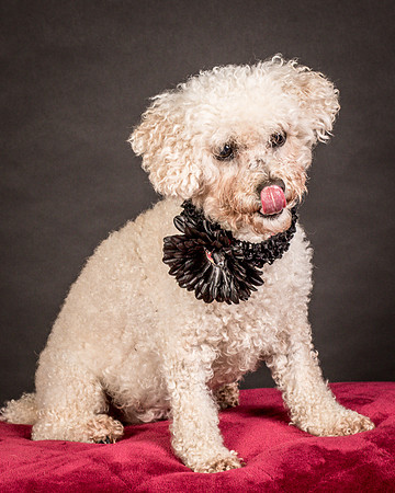 Foster Mae-9043