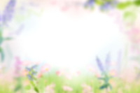 Frame_8