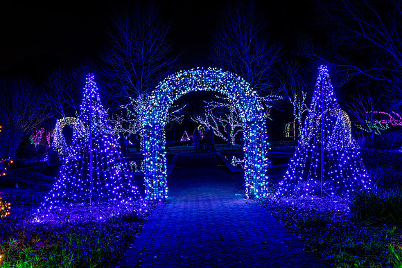 Christmas-2880