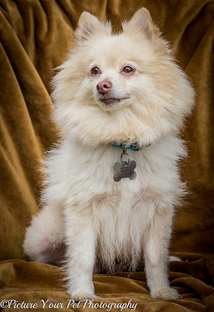 Foster Laverne-6275