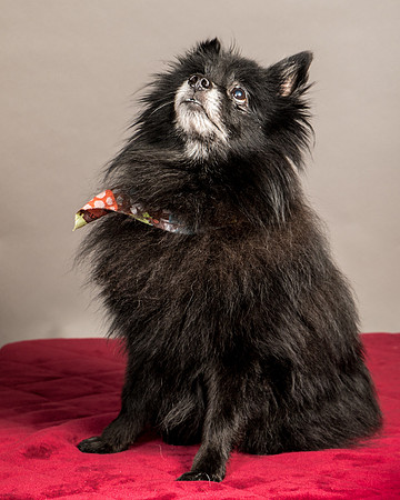 Foster Wayne-7986