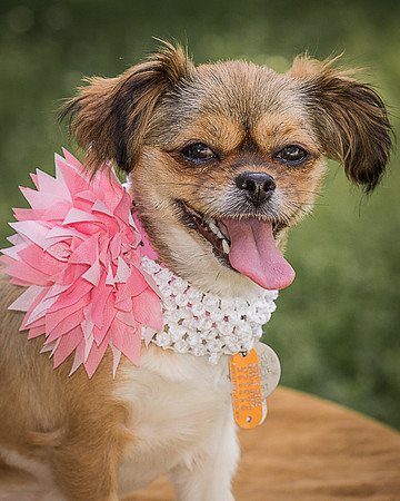 Foster Missy-0572
