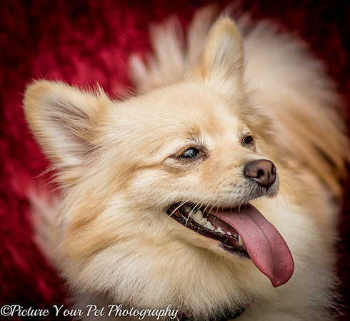 Foster Shirley-6122