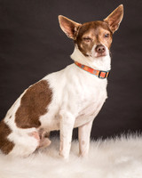 Foster Gus-0291