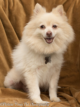 Foster Laverne-6274