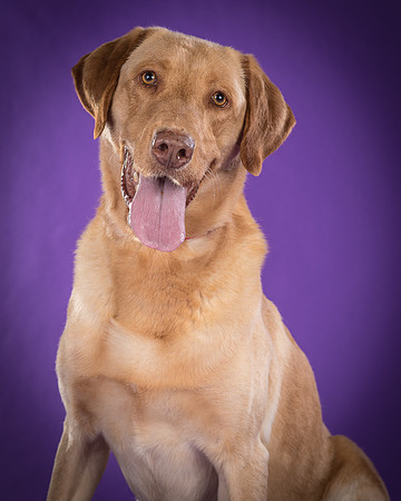 Foster Fred-5997