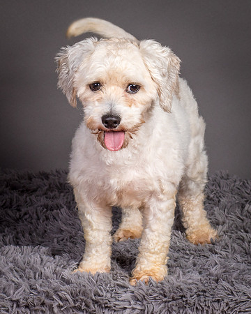 Foster Everly-2366