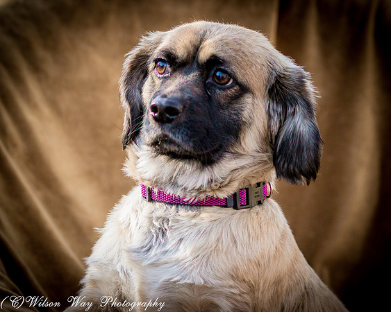 Foster Trudy-9